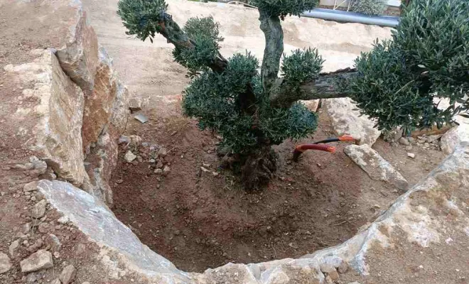 Enrochement, Sainte-Maxime, LVTP Terrassement